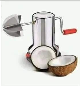 Stainless Steel Coconut Scraper Grater