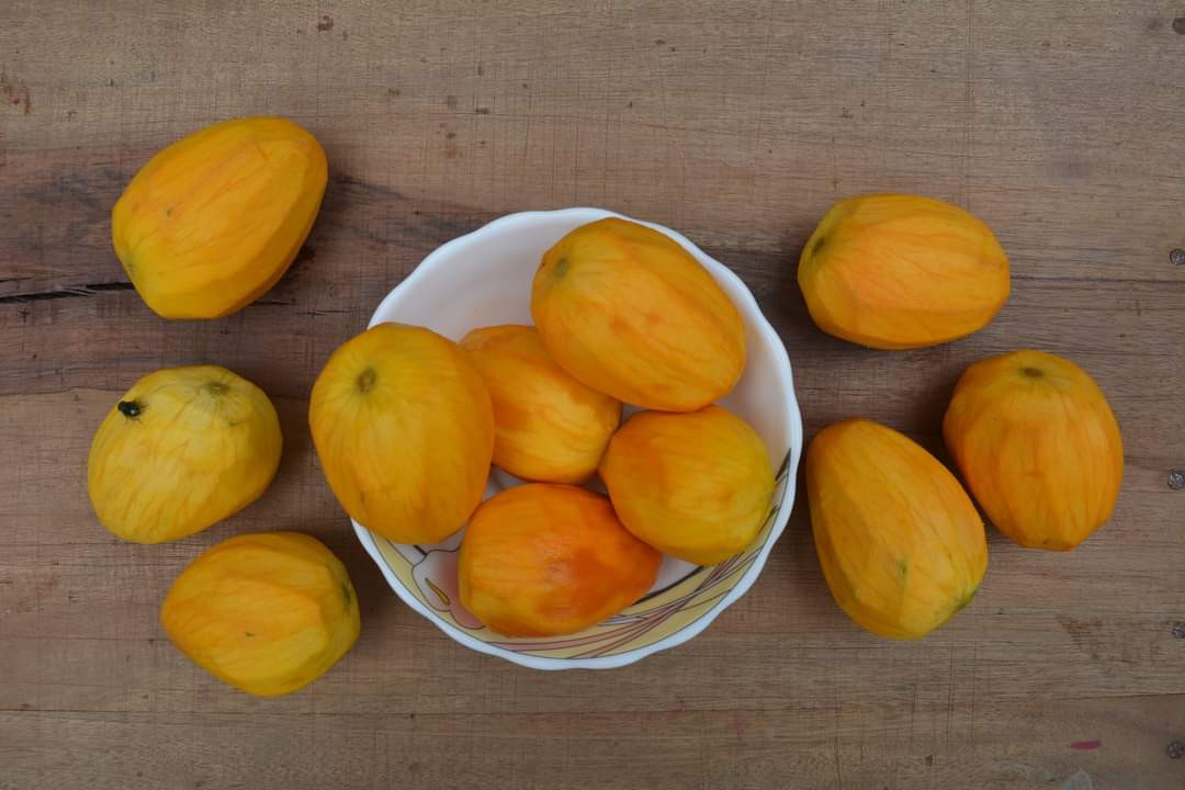 Him Sagor Mango (হিম সাগর আম )